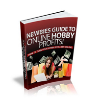 Newbies Guide to Online Hobby Profits