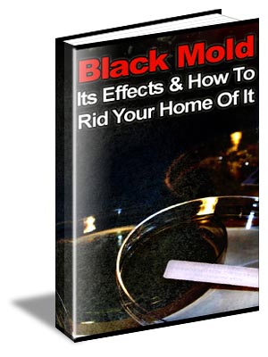 black mold secrets ebook