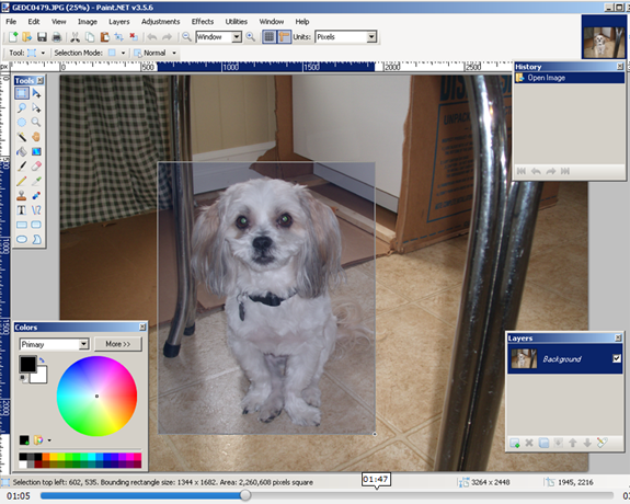 create avatar from any image video